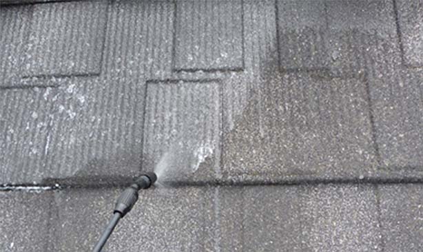 roof cleaning